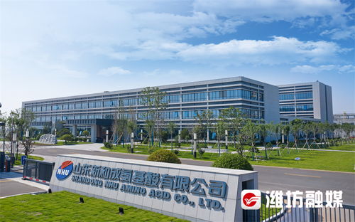 濰觀 鍛造濰坊軟實力③ 讓良好營商環(huán)境成為迸發(fā)生產力的沃土