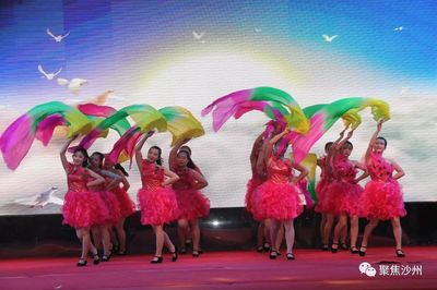 沙州鎮(zhèn)南街社區(qū)舉辦“奮進(jìn)新時(shí)代、共筑譜華章”慶“七一”文藝匯演