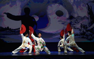 扇舞太極韻，書卷映丹心——我院《扇心書韻》在“出彩河南人”文藝精品展演中綻放異彩