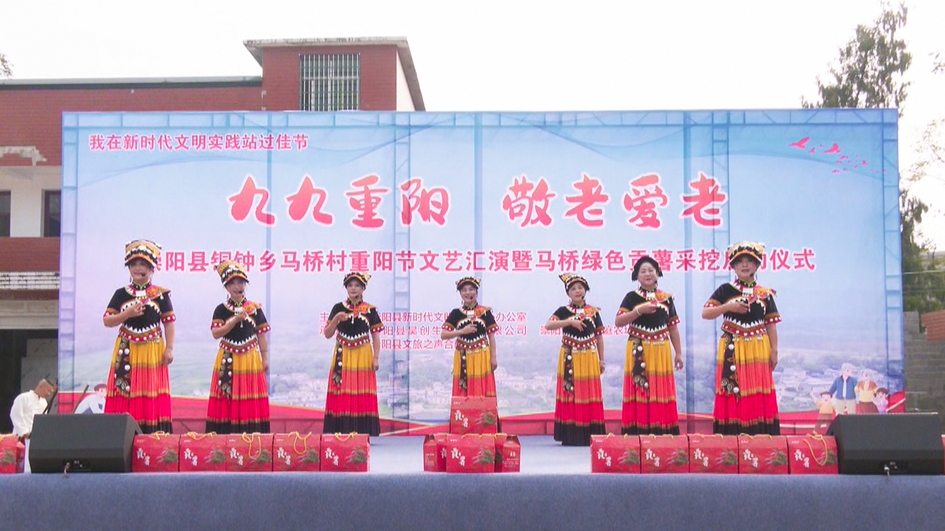 政務信息與文藝表演的和諧共生