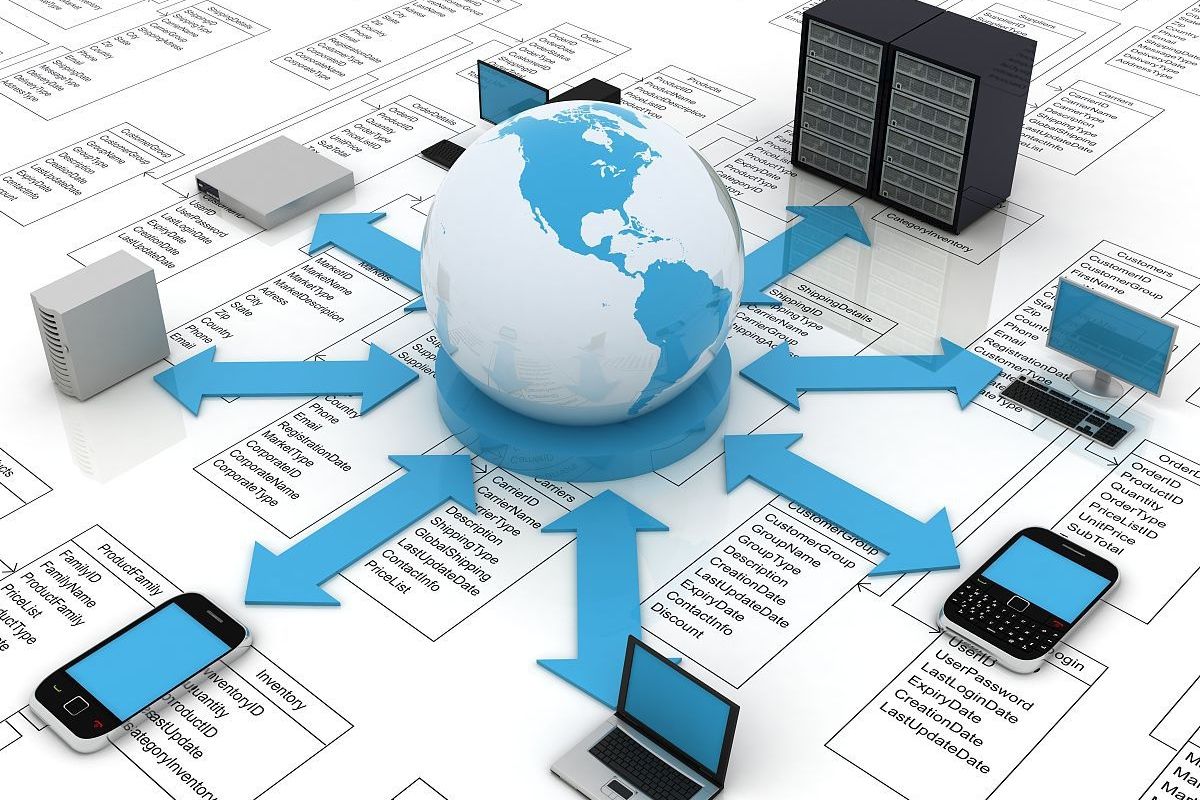 大慶網站建設 精準定位目標用戶，打造高效數字門戶